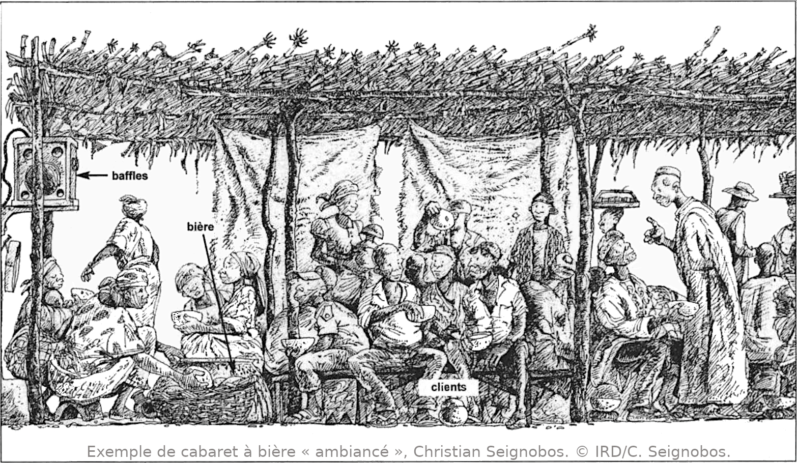 Drawing 6. Example of an 'animated' beer cabaret. © IRD C. Seignobos 2005.